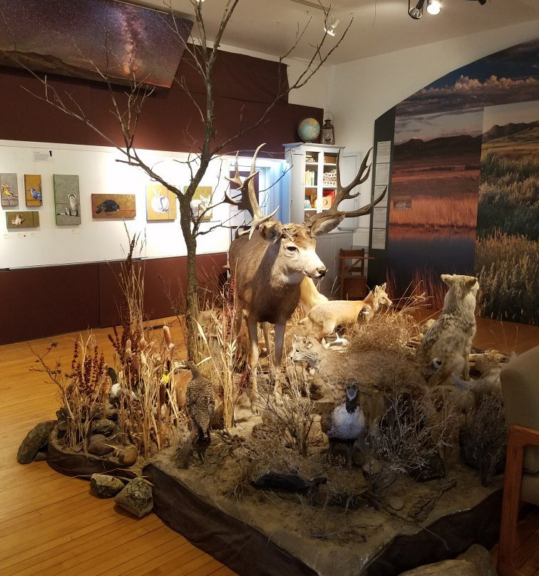 Prairie Wind & Silver Sage-Val Marie必去景点