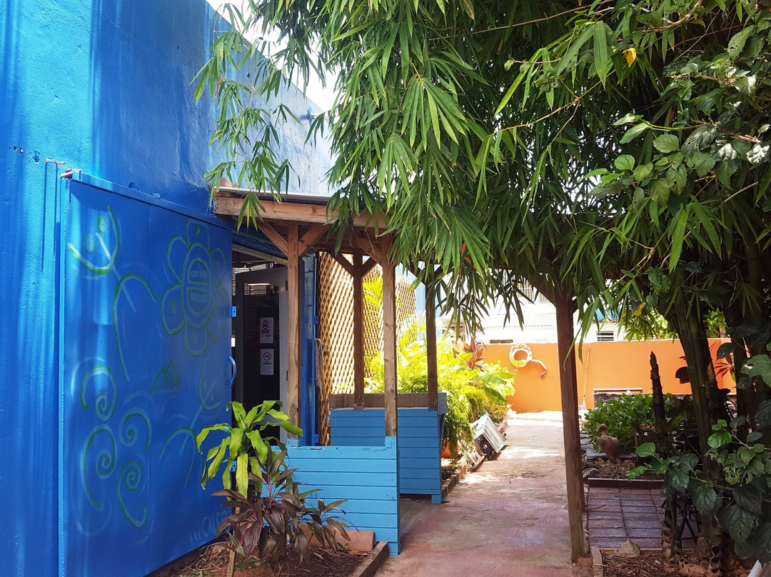 Palmer旅游攻略图片