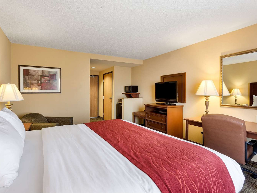 Comfort Inn and Suites主图