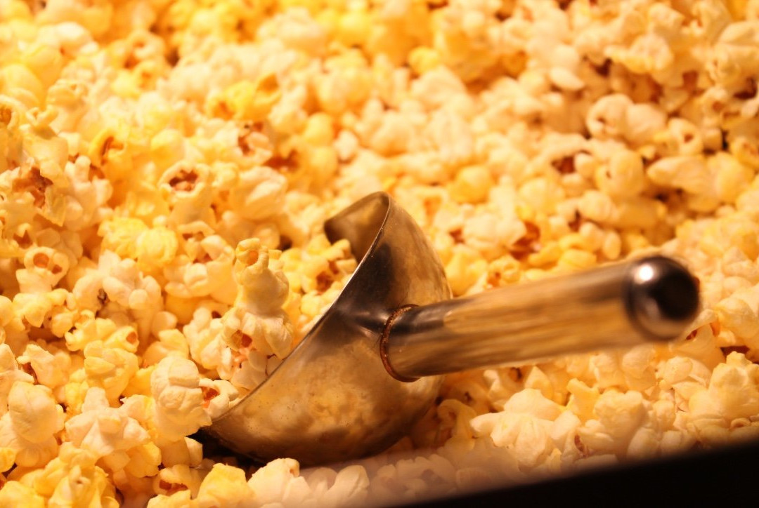 Au Bootlegger-Bathurst必去景点