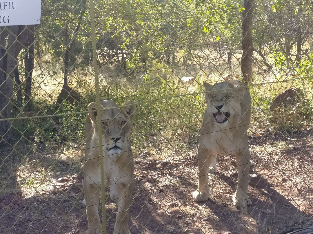 Mahala View-比勒陀利亚必去景点