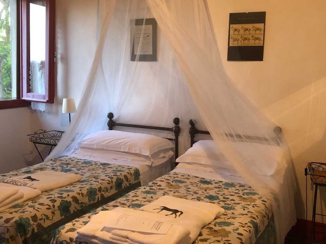 Artimino酒店住宿-B&B Il Paretaio