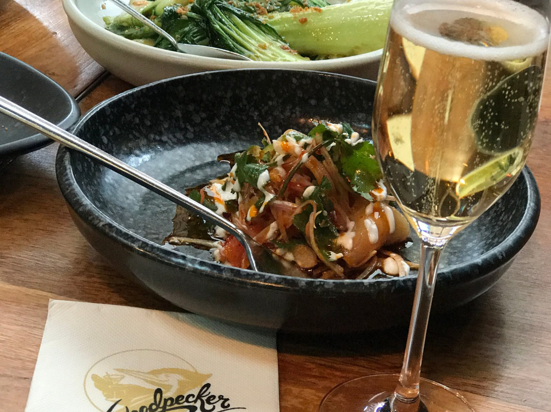 Orbit Helicopters-奥克兰中心地区必去景点