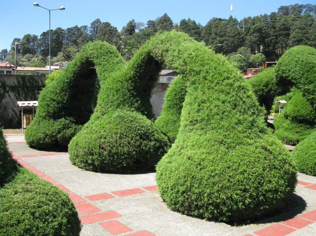 Costa Rica's Senor Scissorhands Topiary景点图片