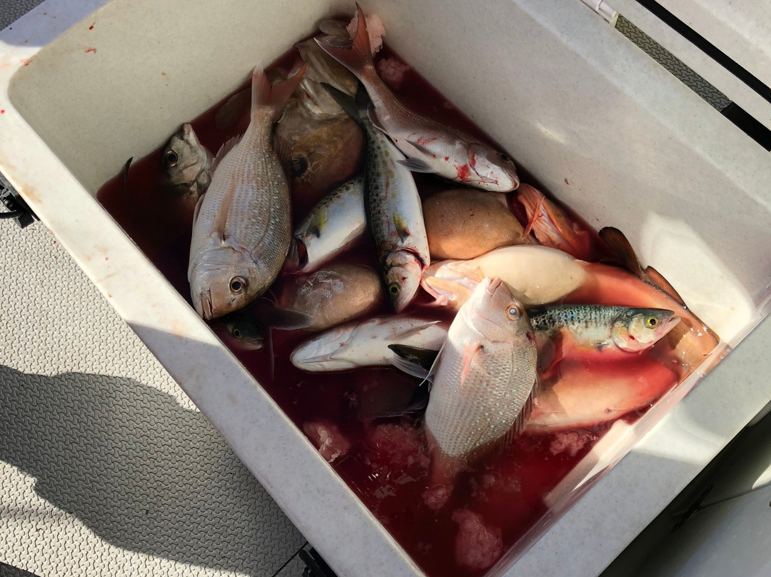 FishOn Charters景点图片