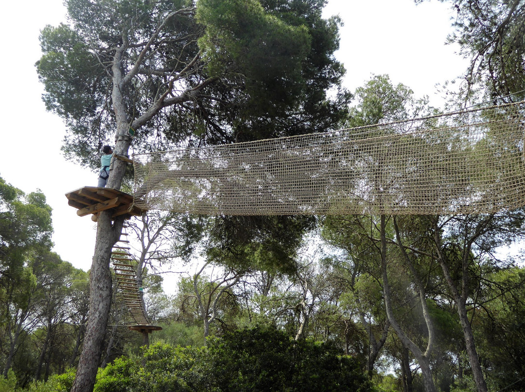 Tirolinas Go! - Mallorca-马洛卡帕尔马必去景点