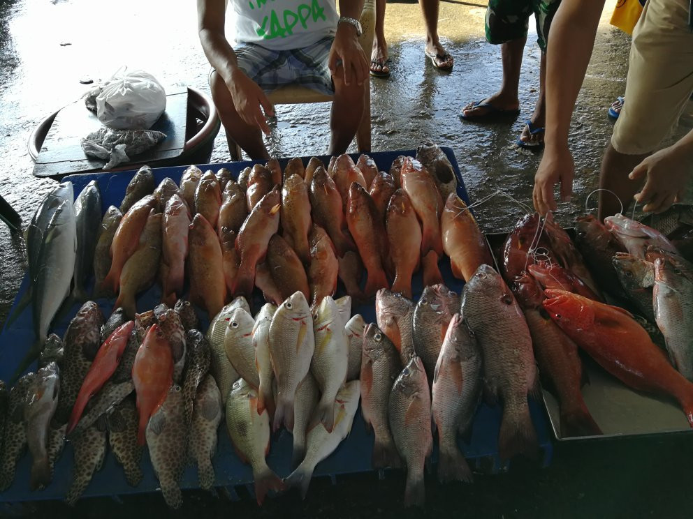 Lucena Fish Port Complex景点图片