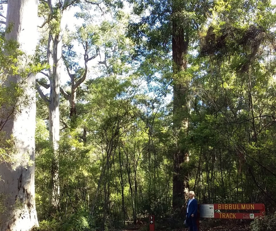 Dalgarup National Park景点图片