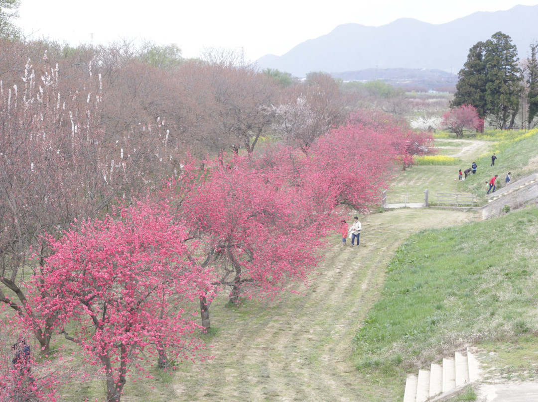 Chikumagawa Fureai Park景点图片