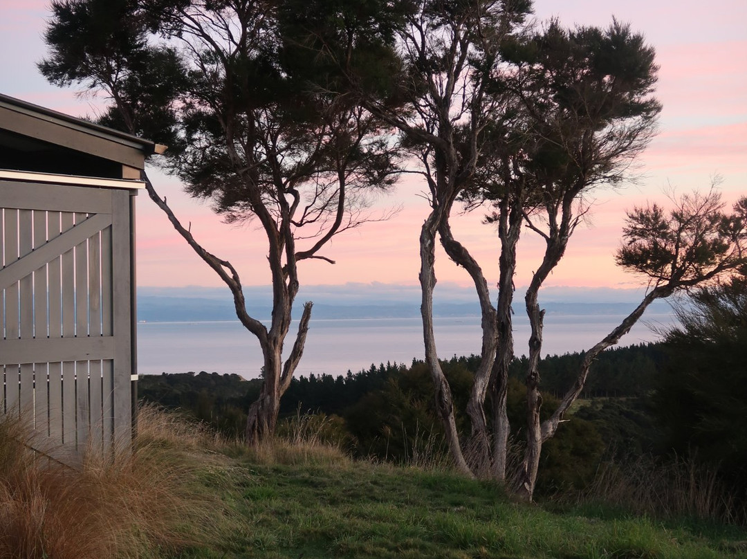 拐子角农场豪华别墅主图