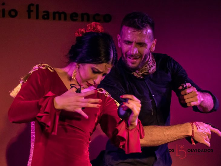 Flamenco los Olvidados-格拉纳达必去景点