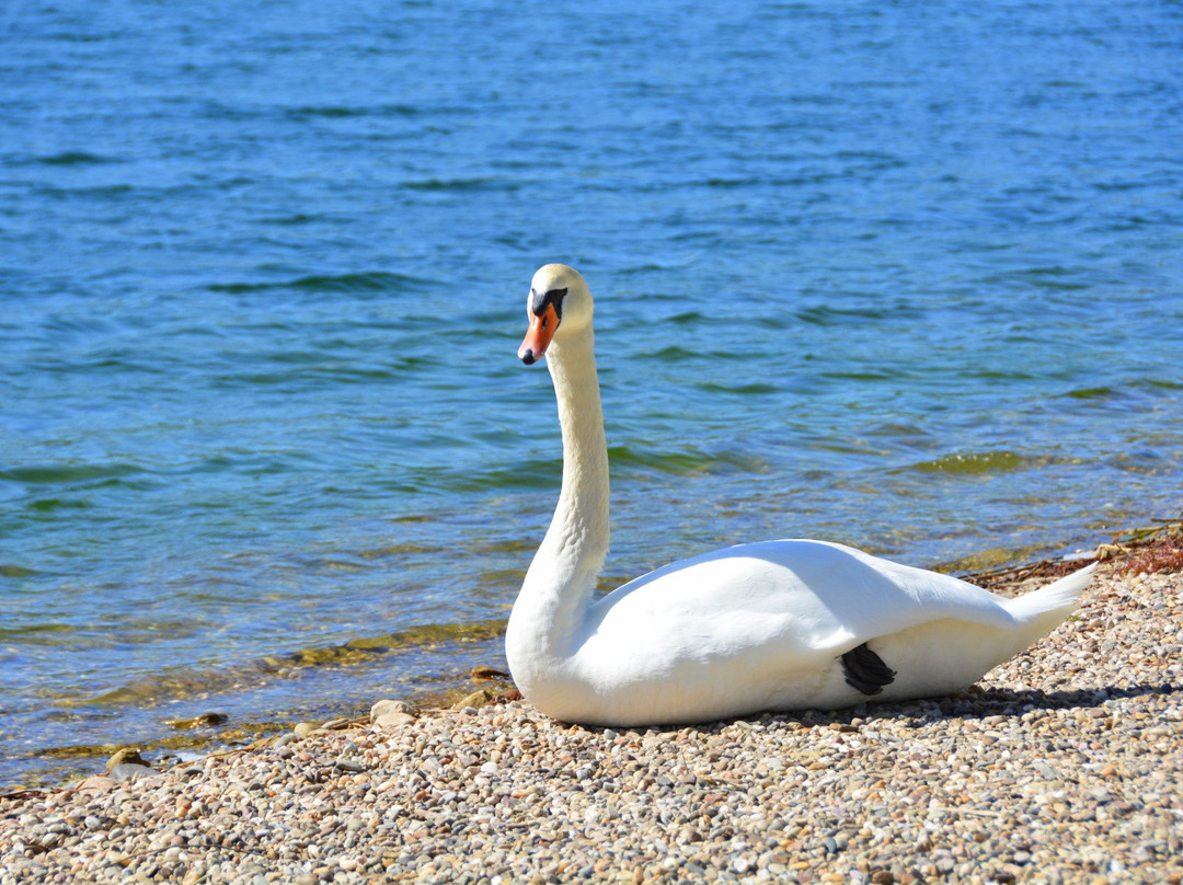 Remerschen旅游攻略图片