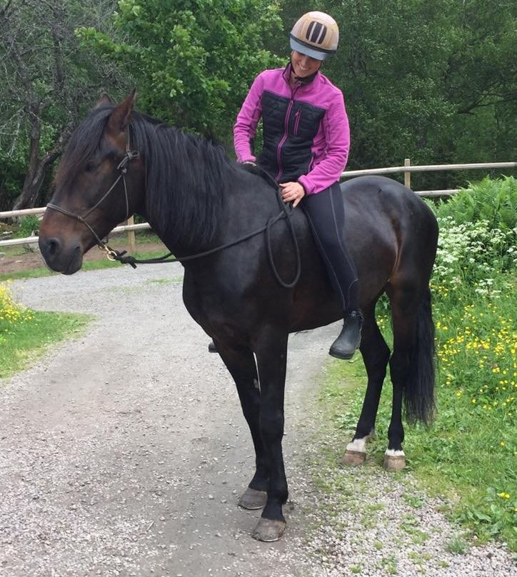 Trailriding in Tiveden景点图片