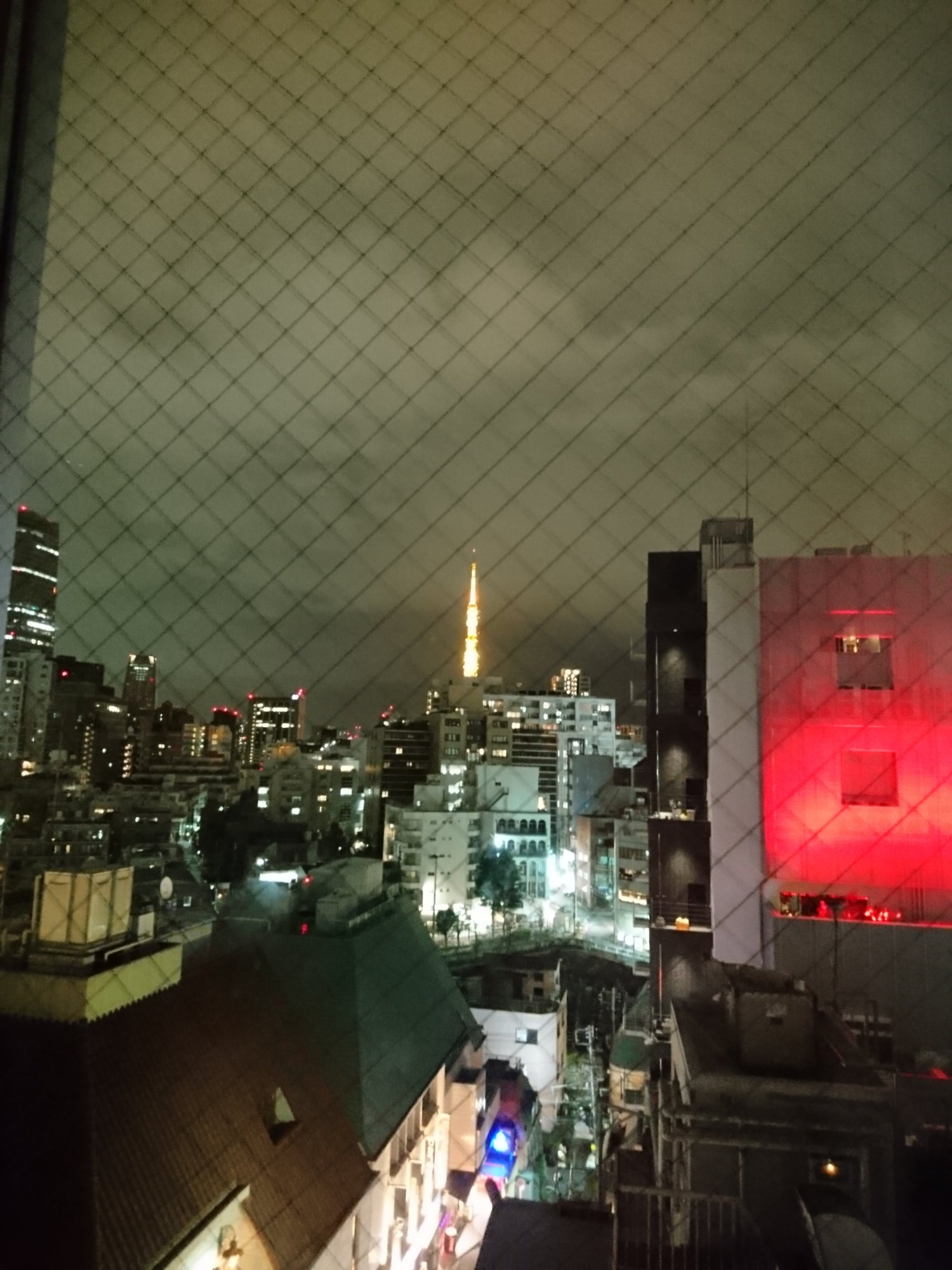 Sotetsu Fresa Inn Tokyo Roppongi-酒店景观