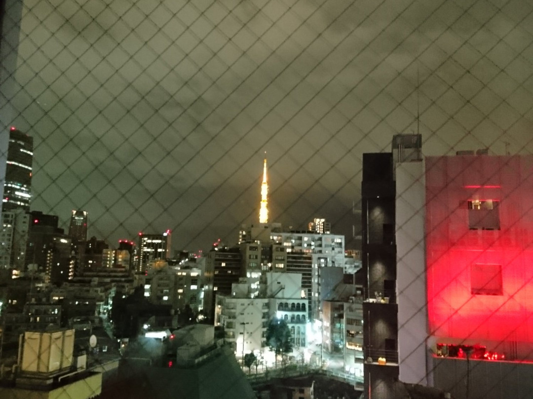 Sotetsu Fresa Inn Tokyo Roppongi主图