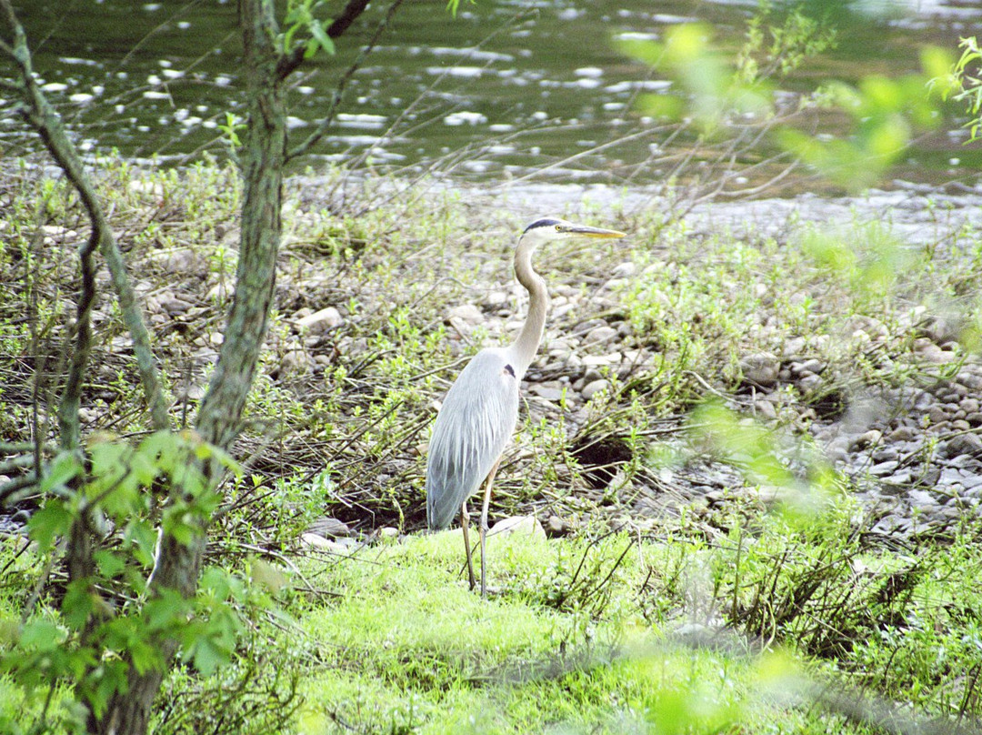Explorer River Tours-Central Falls必去景点