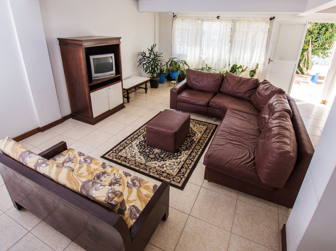 Complexo Lagoa主图