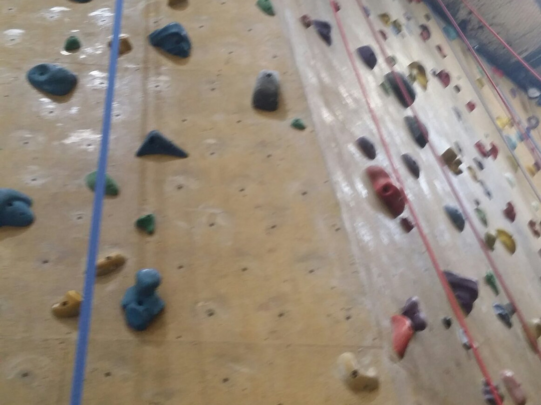 The Edge Rock Climbing Centre景点图片