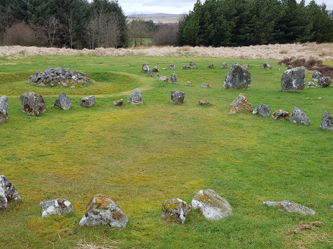 Beaghmore Stone Circles景点图片