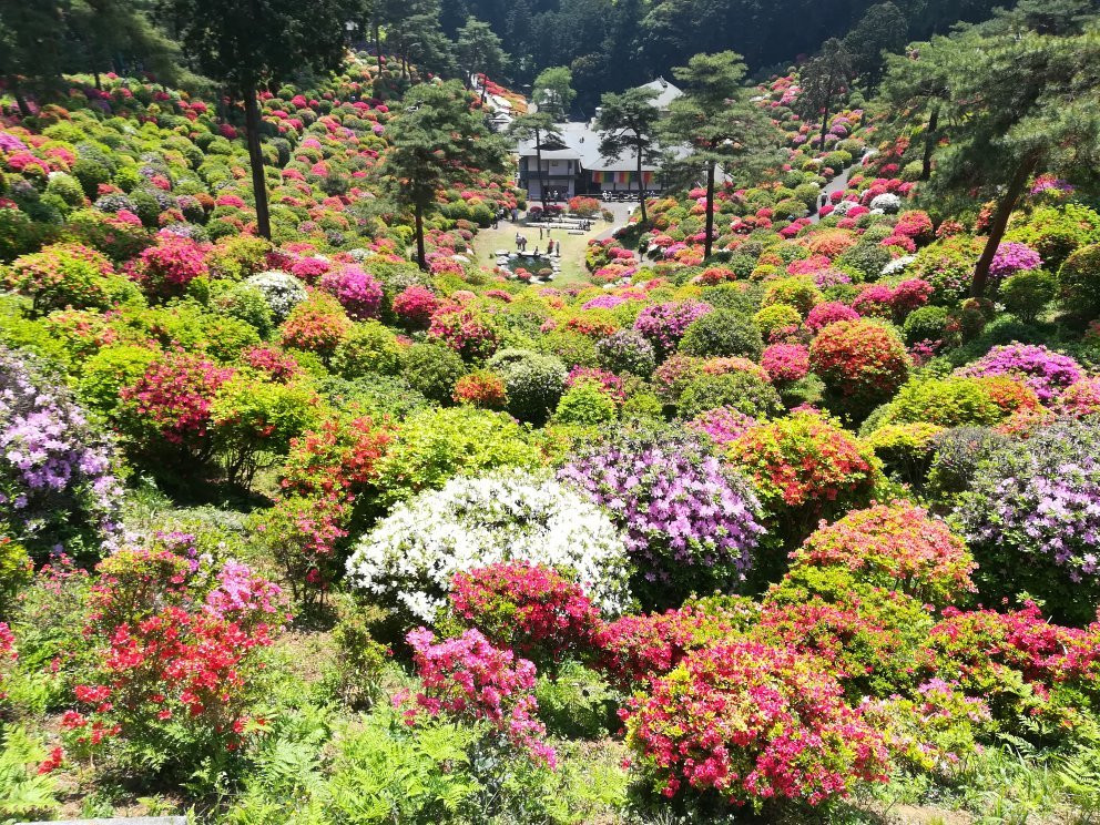 Shiofune Kannon Temple-青梅市必去景点