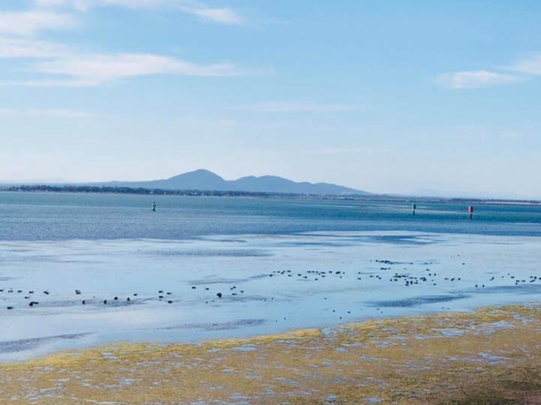 Point Henry Foreshore Reserve-季隆必去景点
