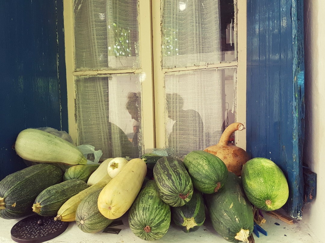 Dolihi Tours-Ikaria必去景点