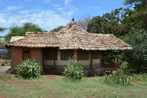 Kili Springs Camp