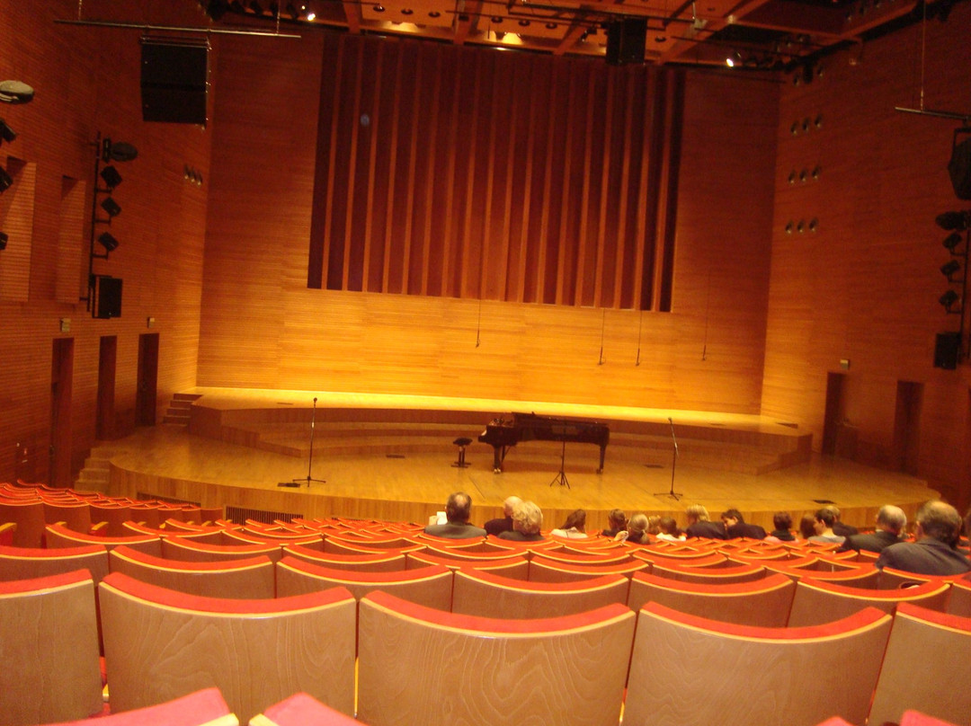 Academy of Music in Katowice景点图片