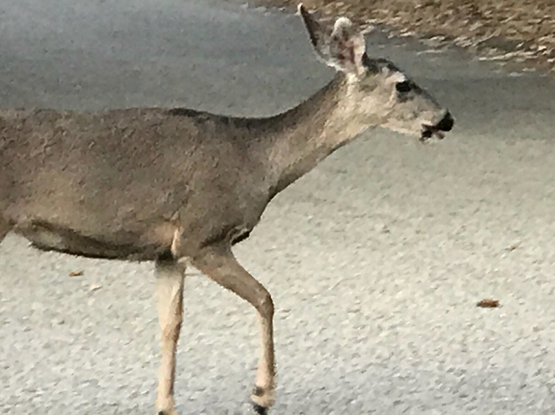 太平洋丛林日落酒店主图