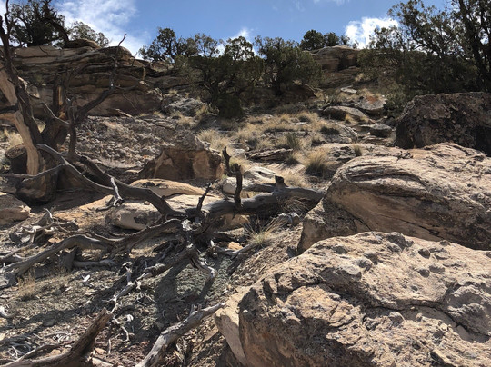 Rattlesnake Canyon-弗鲁塔必去景点
