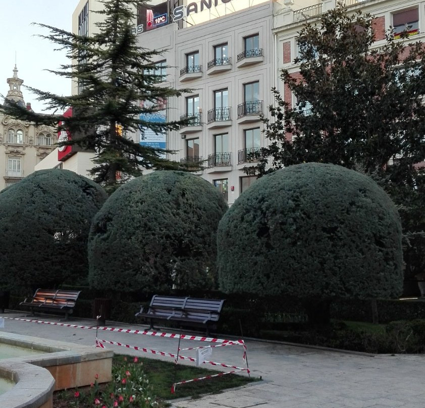 Jardines de la Plaza del Altozano-阿尔瓦塞特必去景点