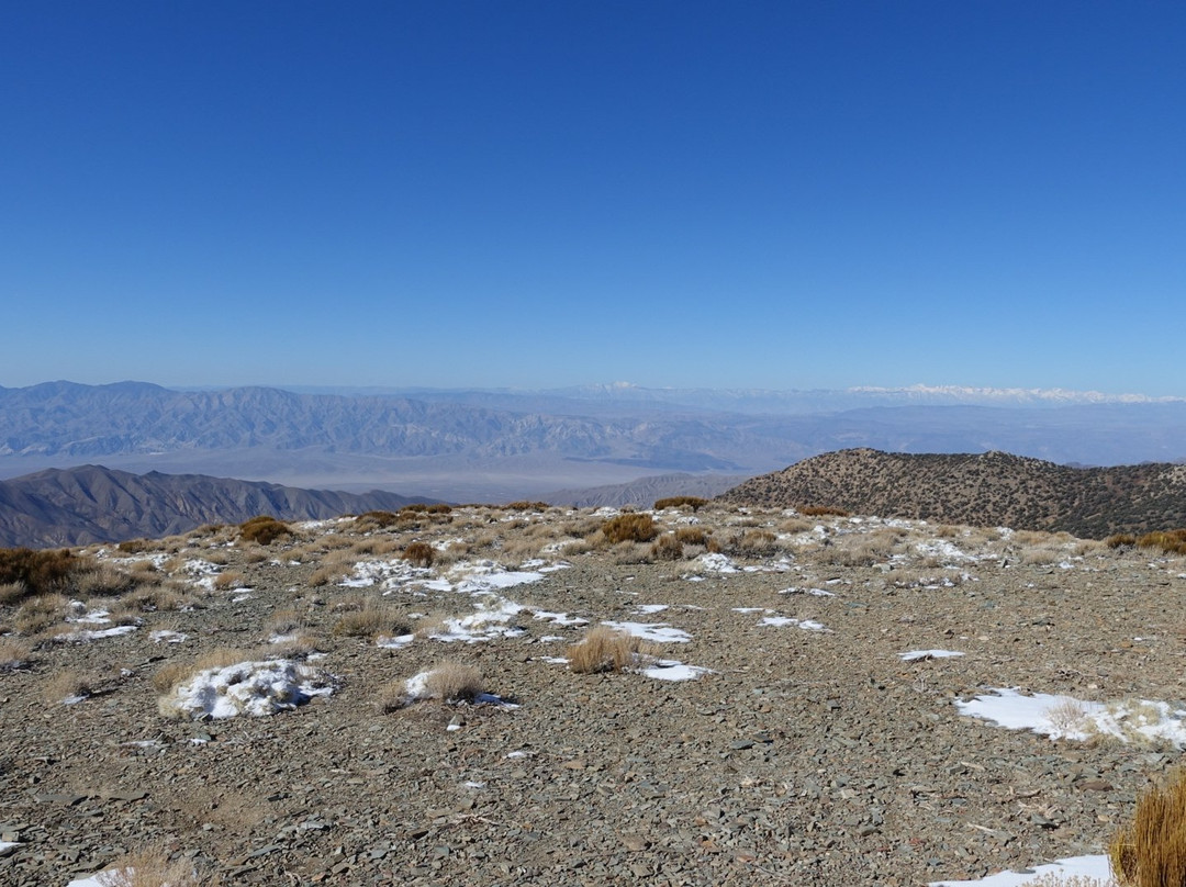 Wildrose Peak Trail-死亡谷国家公园必去景点