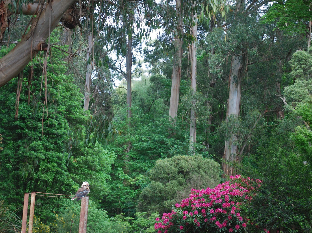 Rocky Creek Art Garden B&B主图