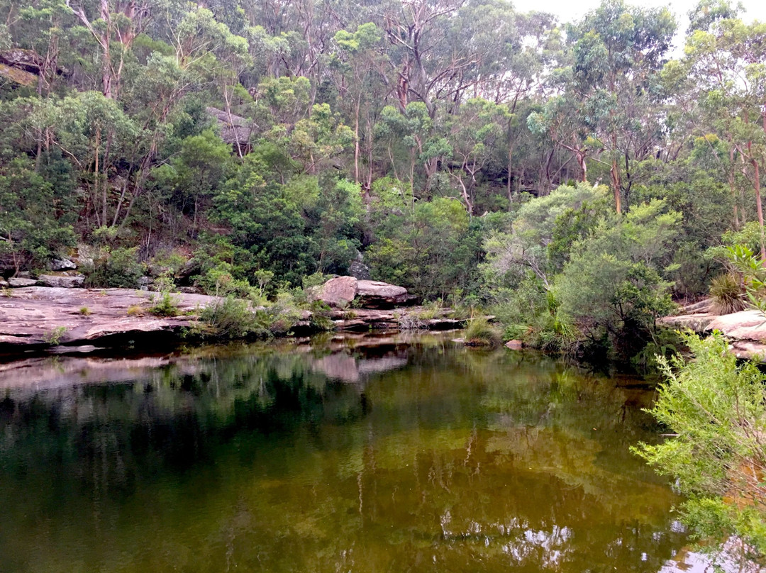 Karloo Pools-Royal National Park必去景点