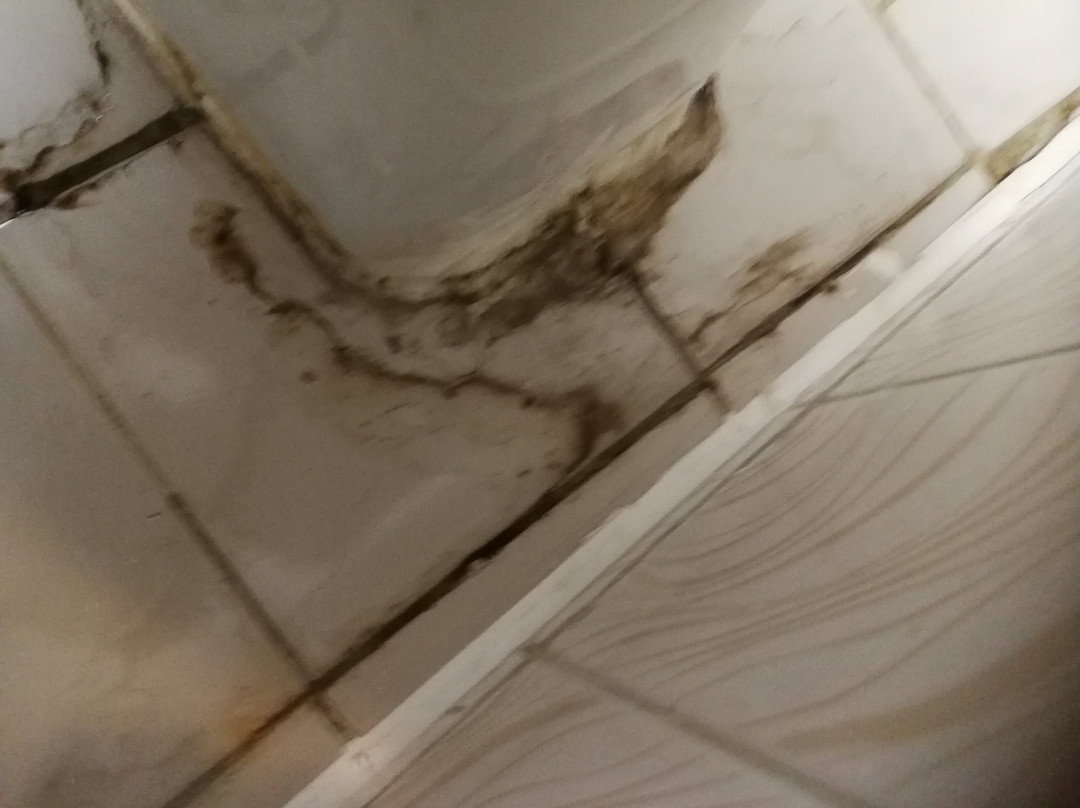 赫利奥波利斯巴伦酒店