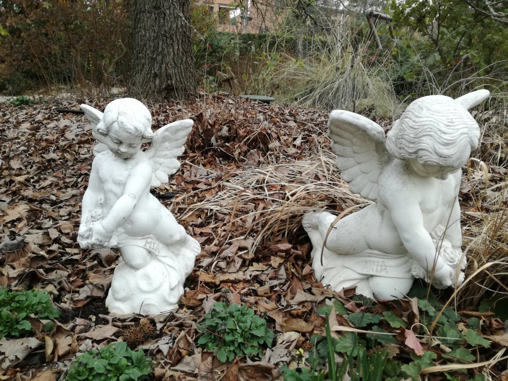 Il Giardino degli Angeli景点图片