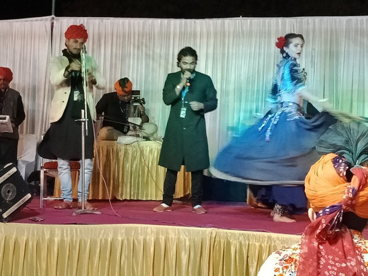 Krishna Music School-普希卡必去景点