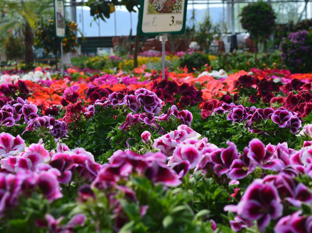 Barba旅游景点-Greenhouse Garden Center