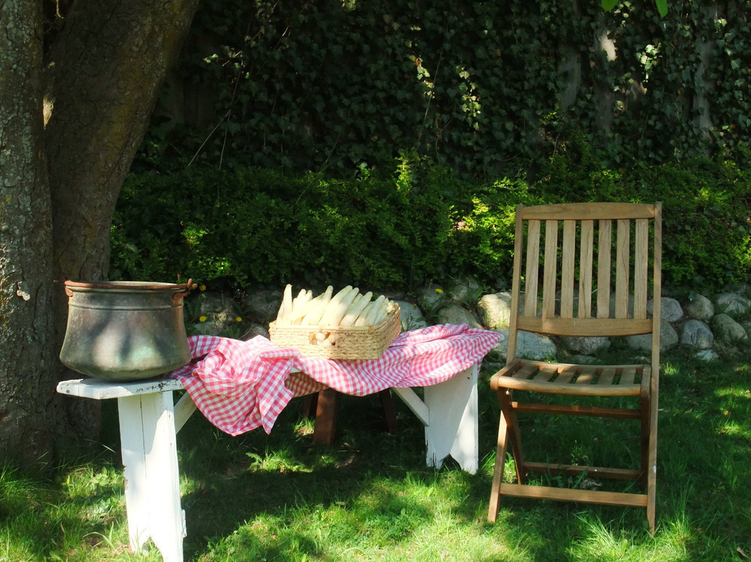 Wankendorf酒店住宿-Landhaus Schulze-Hamann