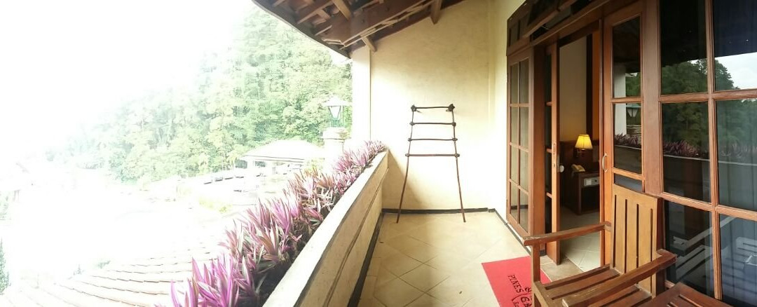 Pines Garden Hotel主图