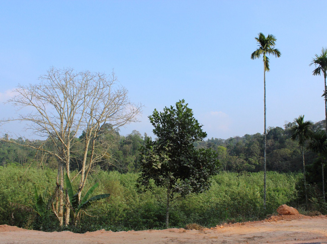 BB Estate Homestay - A Wandertrails Showcase主图