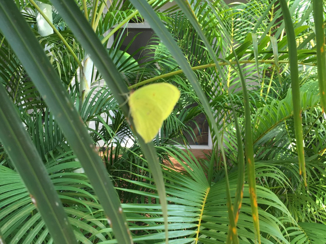 Villa Maria B&B主图