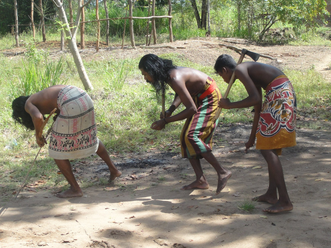 Sri Lanka Knuckles Trekking景点图片