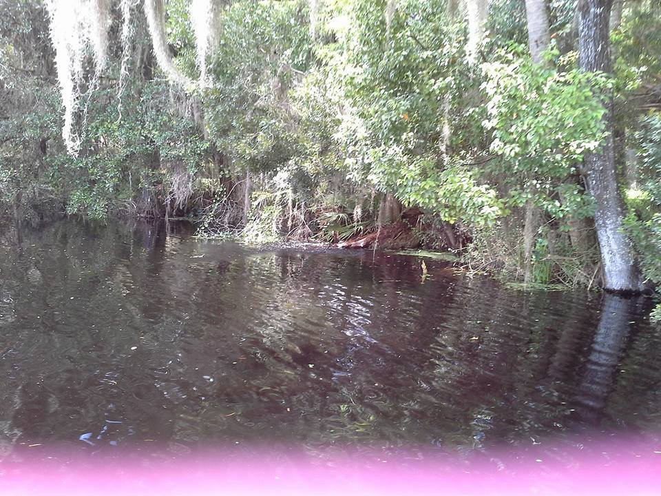 Blue Run of Dunnellon Park-Dunnellon必去景点