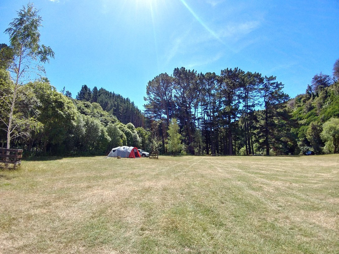 Battle Hill Farm Forest Park-Porirua必去景点