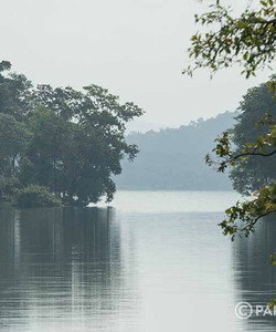 Tansa Wildlife Sanctuary景点门票图片