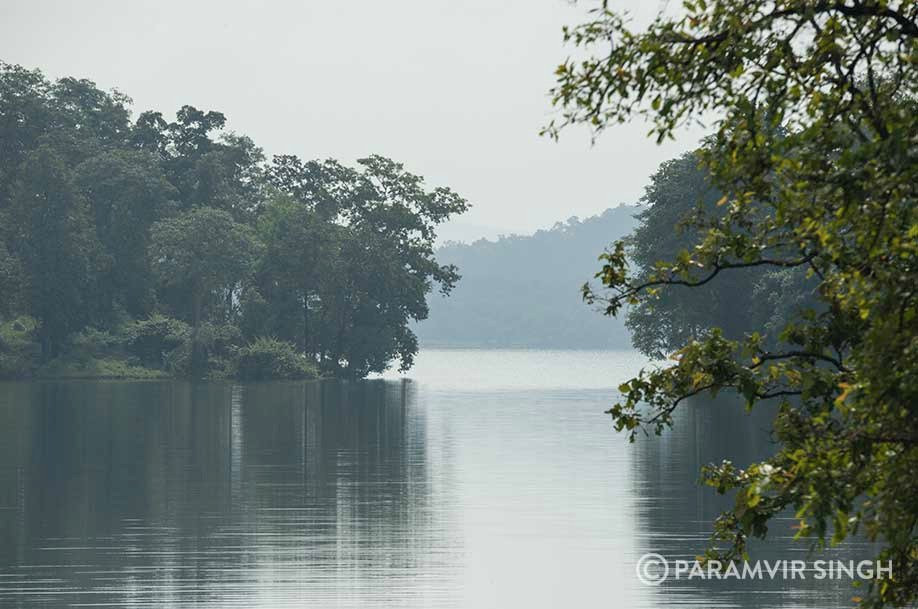 Tansa Wildlife Sanctuary景点图片