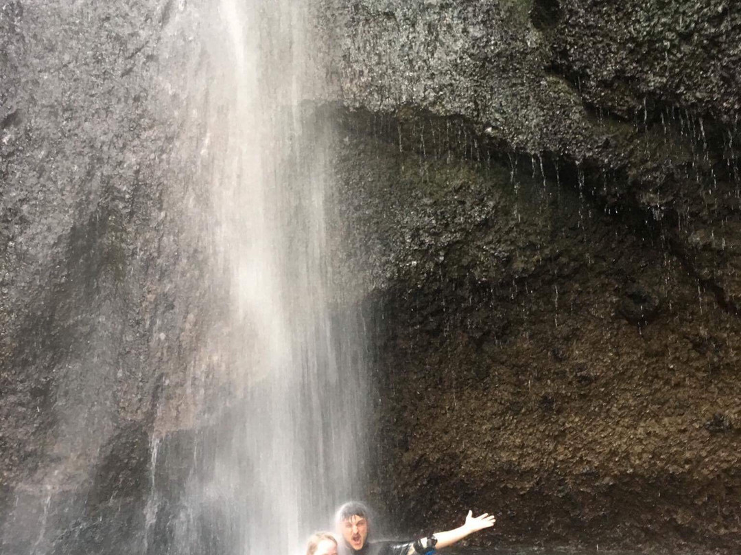 Bio Adventurer-登巴萨必去景点