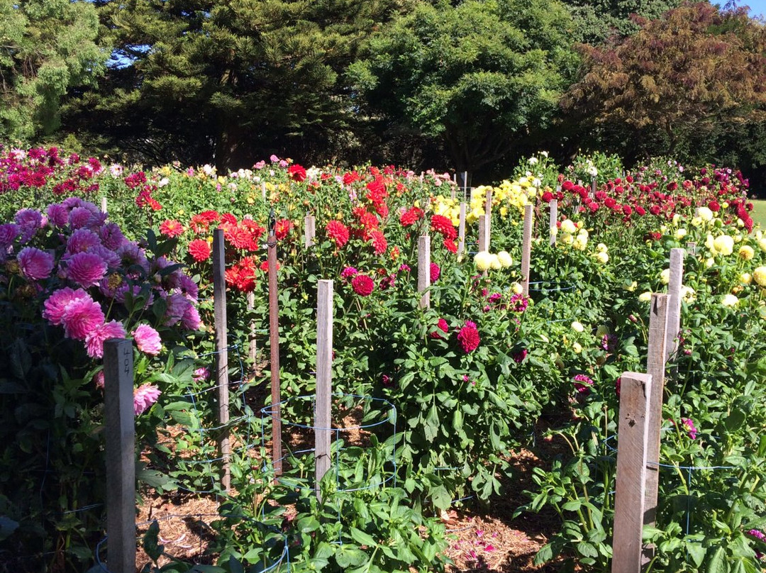 Portland Botanical Gardens景点图片