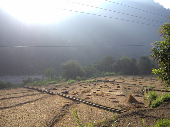 Mountain FOX Adventure-里希克虚必去景点